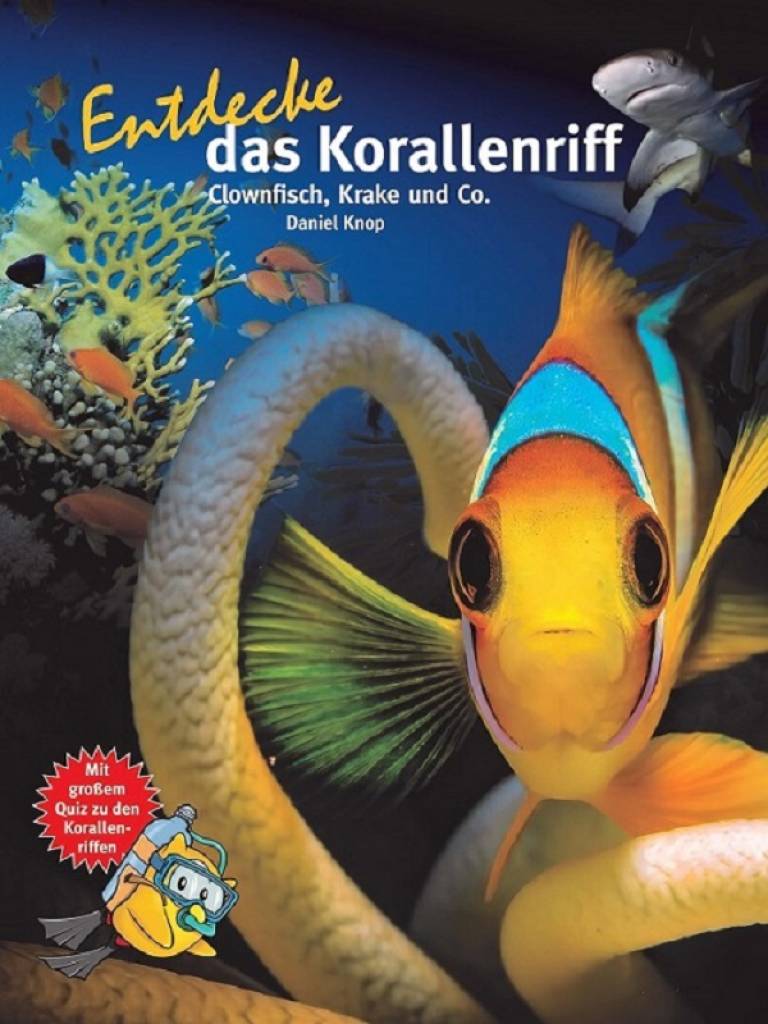 Entdecke das Korallenriff